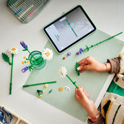 LEGO Botanicals Daisies 11508