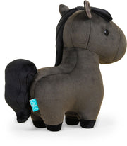 Friesian the Horse