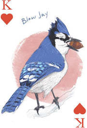 The Field Guide to Dumb Birds Playing Cards: 2-Deck Set